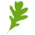 leaf browser