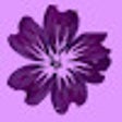 Ikon program: MAUVE ++ Plugin Validator