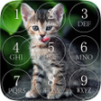 プログラムのアイコン：Kitten Lock Screen