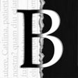 プログラムのアイコン：Blanks