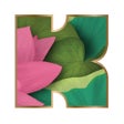 أيقونة البرنامج: Kapiva