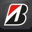 Icon of program: Bridgestone Lebanon