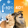أيقونة البرنامج: Cat Dog Weather