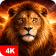 プログラムのアイコン：Lion Wallpapers 4K