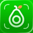 ไอคอนของโปรแกรม: CaloCare: Calorie Counter…