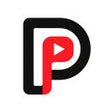 Иконка программы: YouTube to Perplexity AI