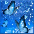 Ikona programu: Butterfly Wallpaper