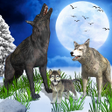 Ícone do programa: Wolf Family Simulator : R…