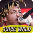 プログラムのアイコン：Juice : WRLD Top Songs mu…