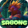 程序图标：Lingo Chasing Wala Meron