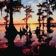 أيقونة البرنامج: Bayou Federal Credit Unio…
