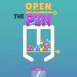 Programın simgesi: Open the Pin