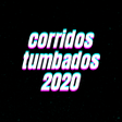 프로그램 아이콘: Corridos Tumbados musica