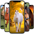 Icon of program: Horse Wallpaper