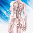 Иконка программы: AR Female Anatomy Free