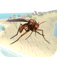 プログラムのアイコン：Mosquito Simulator 2