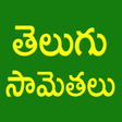 Icon of program: Telugu Samethalu (Telugu)