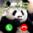 プログラムのアイコン：panda animal fake video c…