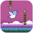 Ikon program: Happy Bird