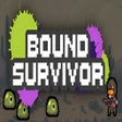 Icoon van programma: Bound Survivor