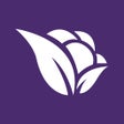 أيقونة البرنامج: Violetta Cosméticos