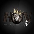 プログラムのアイコン：H2N TV