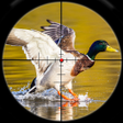 程序图标：Birds Hunting Sniper Shoo…