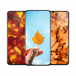 程序图标：Autumn Live Wallpaper HD …