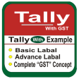 Tally Erp.9 Full Course In Hindi || Tally With GST