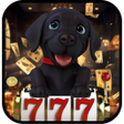プログラムのアイコン：567 Slots Rapid Spins