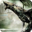 プログラムのアイコン：Angry Dragon Simulator Pr…