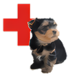 Icon of program: Animalia