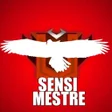 Icon of program: SENSI MESTRE  BOOSTER - F…