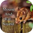 Mouse and Rat Sounds