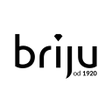 プログラムのアイコン：Briju