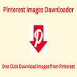 Pinterest Images Downloader - Pinterest Video Downloader