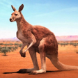 Ícone do programa: The Kangaroo