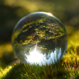 程序图标：True psychic reading  Nat…