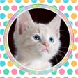 程序图标：Animal Sounds - Babies  K…