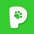 Programikon: Pethereum