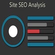 Icon of program: Site SEO Analysis