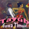 Lagu Tayub Jawa Timuran