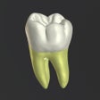 Ícone do programa: 3D Tooth Anatomy