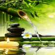 プログラムのアイコン：Bamboo Water Live Wallpap…