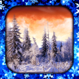 Ícone do programa: Winter Live Wallpaper