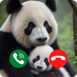 プログラムのアイコン：Baby Panda Prank Video Ca…