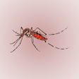 プログラムのアイコン：Mosquito Sound