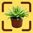 Plant Identifier: Free Scan