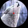 أيقونة البرنامج: Wild Wolf Hunting Game Of…