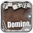 程序图标：Domino